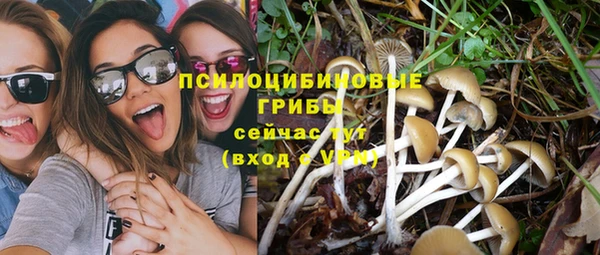 мяу мяу мука Абаза