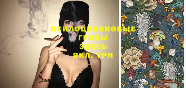не бодяженный Переславль-Залесский